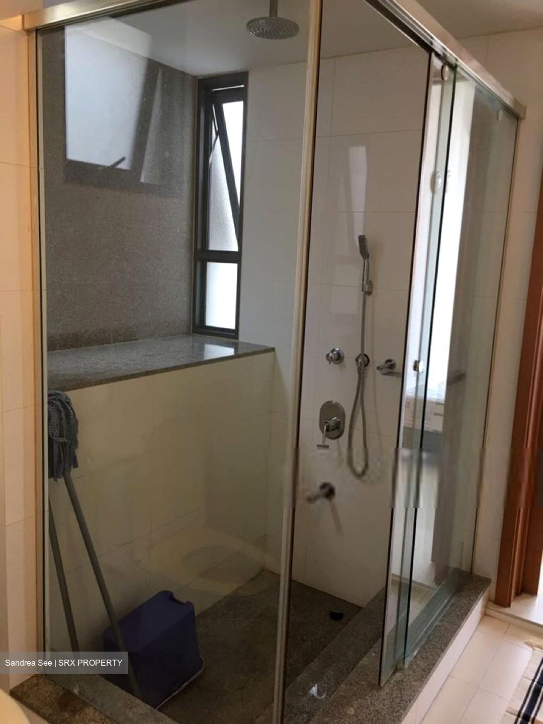 The Pier at Robertson (D9), Apartment #613881841